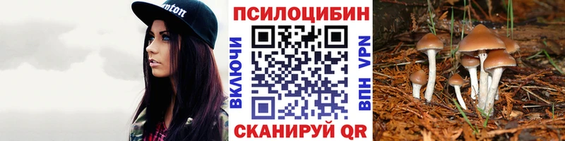 даркнет телеграм  наркошоп  Никольское  Псилоцибиновые грибы прущие грибы 