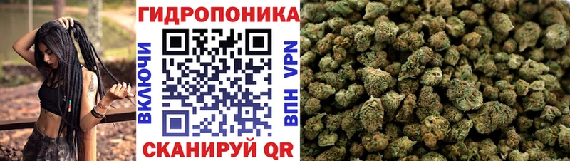 Бошки Шишки план Никольское